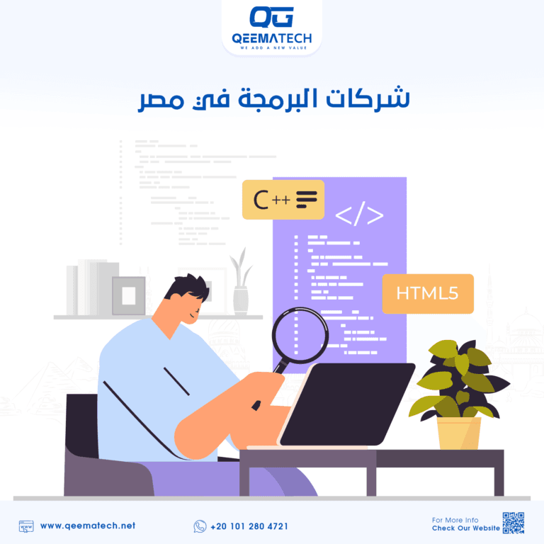 شركات البرمجة في مصر