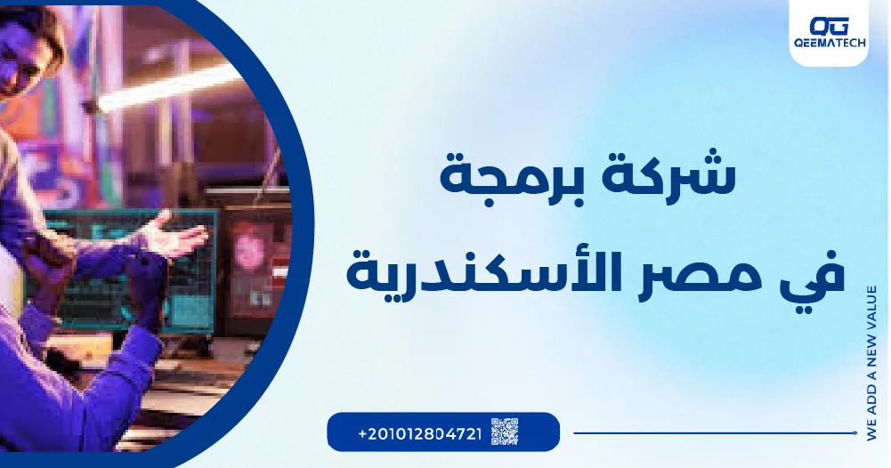 شركة برمجة في مصر الإسكندرية