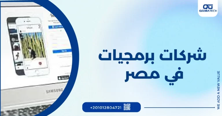 شركات برمجيات في مصر