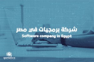 شركة برمجيات في مصر