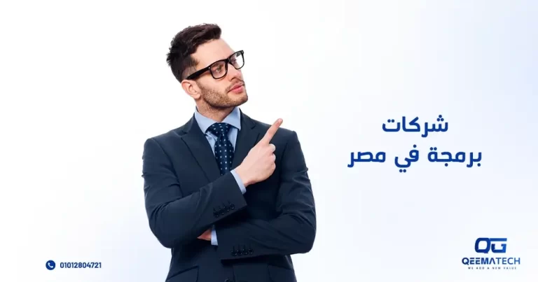 شركات برمجة في مصر