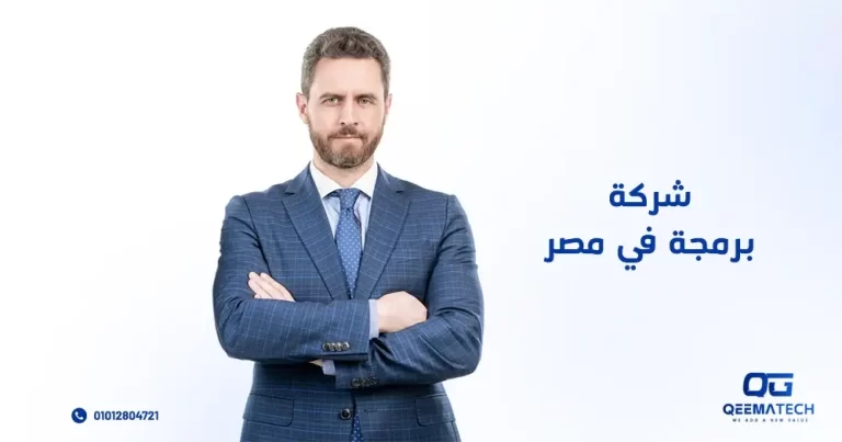 شركة برمجة في مصر