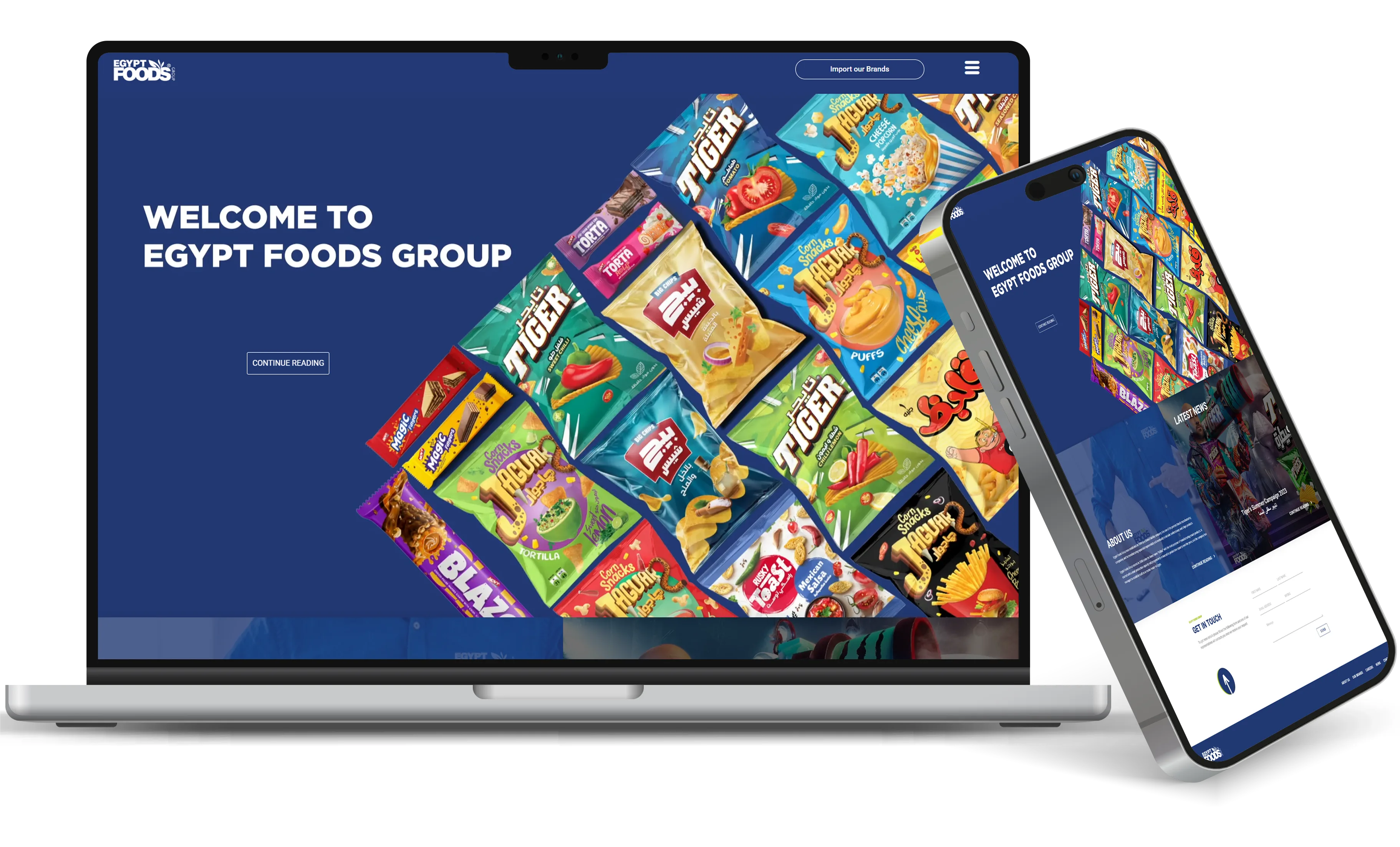 موقع Egypt Foods أحد أعمال قيمة تك تعبيرية عن ارخص استضافة ووردبريس