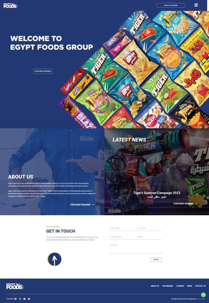 موقع شركة Egypt Foods تعبيرية عن أفضل شركات الاستضافة العالمية