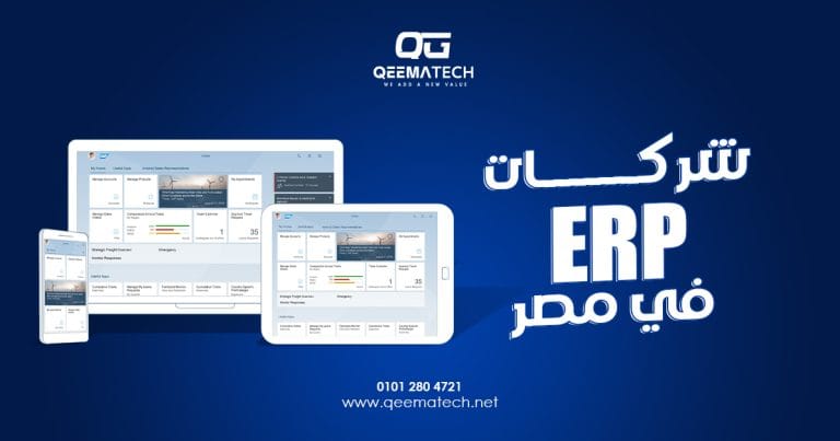 شركات برمجة في مصر